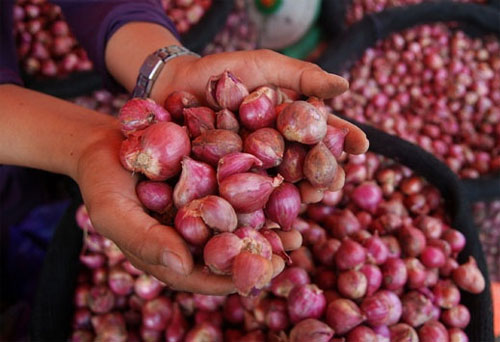 Bawang Merah Impor Kurang Diminati Masyarakat
